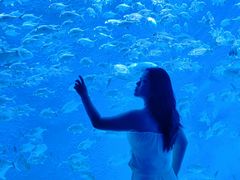 -波塞冬旅游度假区