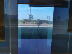 -盘龙城国家考古遗址公园