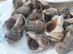 -北戴河庆山饭店·海鲜砂锅粥(北戴河黑石路店)