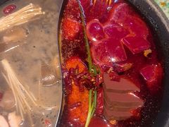 -肖婷姐大铁锅重庆火锅(南湖店)
