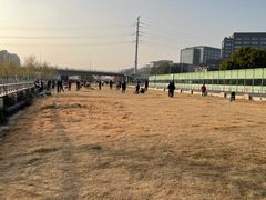 -苏州河梦清园环保主题公园