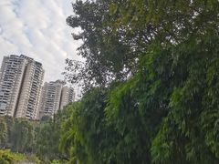 -龙头寺公园