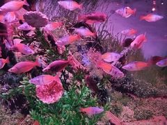 -正佳极地海洋世界