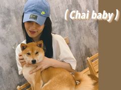 -逗柴咖啡屋·狗咖猫咖宠物桌游