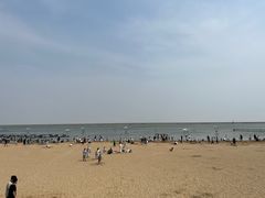 -碧海金沙