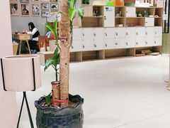 -藏猫猫咖啡主题馆(中央大道店)