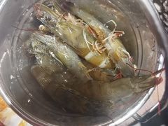 -懂食汇自助火锅