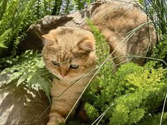 -城里小院露营火锅