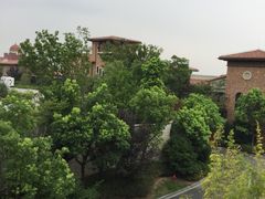 -上海崇明金茂凯悦酒店