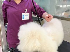 -暖阳宠物医院·犬猫康复中心·骨科