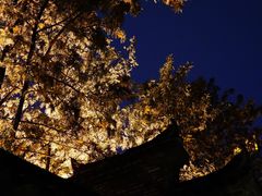 -鱼桥巷·美学川菜