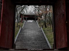 -武侯墓风景区