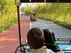 -上海长兴岛郊野公园