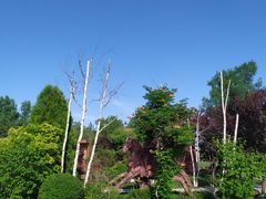 -武清南湖绿博园