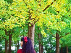 -重庆彩云湖湿地公园
