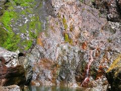 -雁荡山风景名胜区-小龙湫