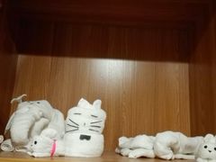 -杭州第一世界大酒店·云曼温泉