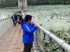 -东湖落雁景区