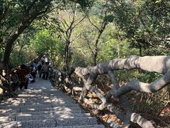 -梧桐山风景名胜区