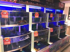 水产区-七欣天(上海淮海路新尚广场店)