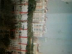 android_upload_pic-南昌动物园