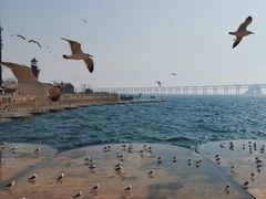 -星海广场