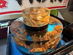 -蟹道乐(道顿堀本店)