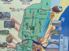 -日照海滨国家森林公园