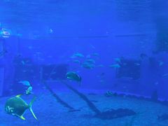 -前王院•巧克力海鲜市集餐厅(万平口店)