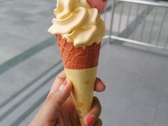 -麦当劳(石家庄北国店)