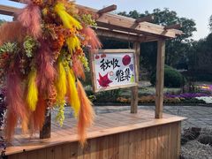 -北京十三陵国家森林公园蟒山景区