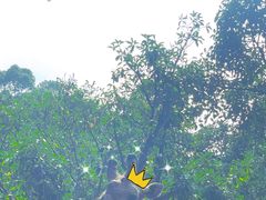 -广州长隆野生动物世界