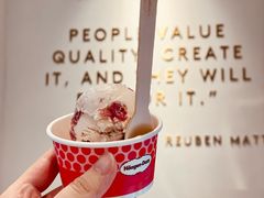 草莓覆盆子高定马卡龙单球-哈根达斯(绍兴银泰店)