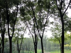 -东郊湿地公园