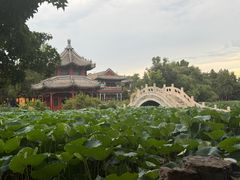 -莲池书院博物馆