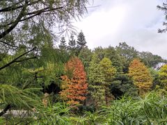 -云溪植物园