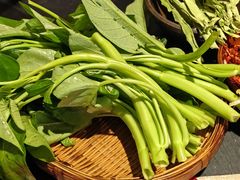 藤藤菜-大风老火锅(江北一店)