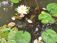 -常州古运河南大街文化旅游区-人民公园