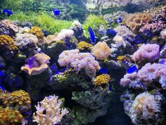-郑州海洋馆