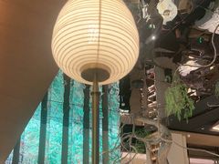 -桂满陇·海市蜃楼·黑金(国金店)