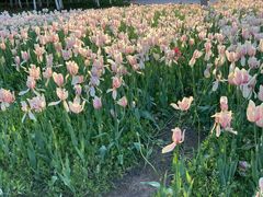 -长春公园(普阳街道)