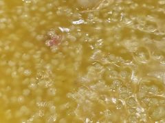 -蓝天宾馆·融合菜·宴席(解放大道店)