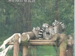 -西安秦岭野生动物园