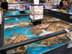 水产区-盒马鲜生(曜一城店)