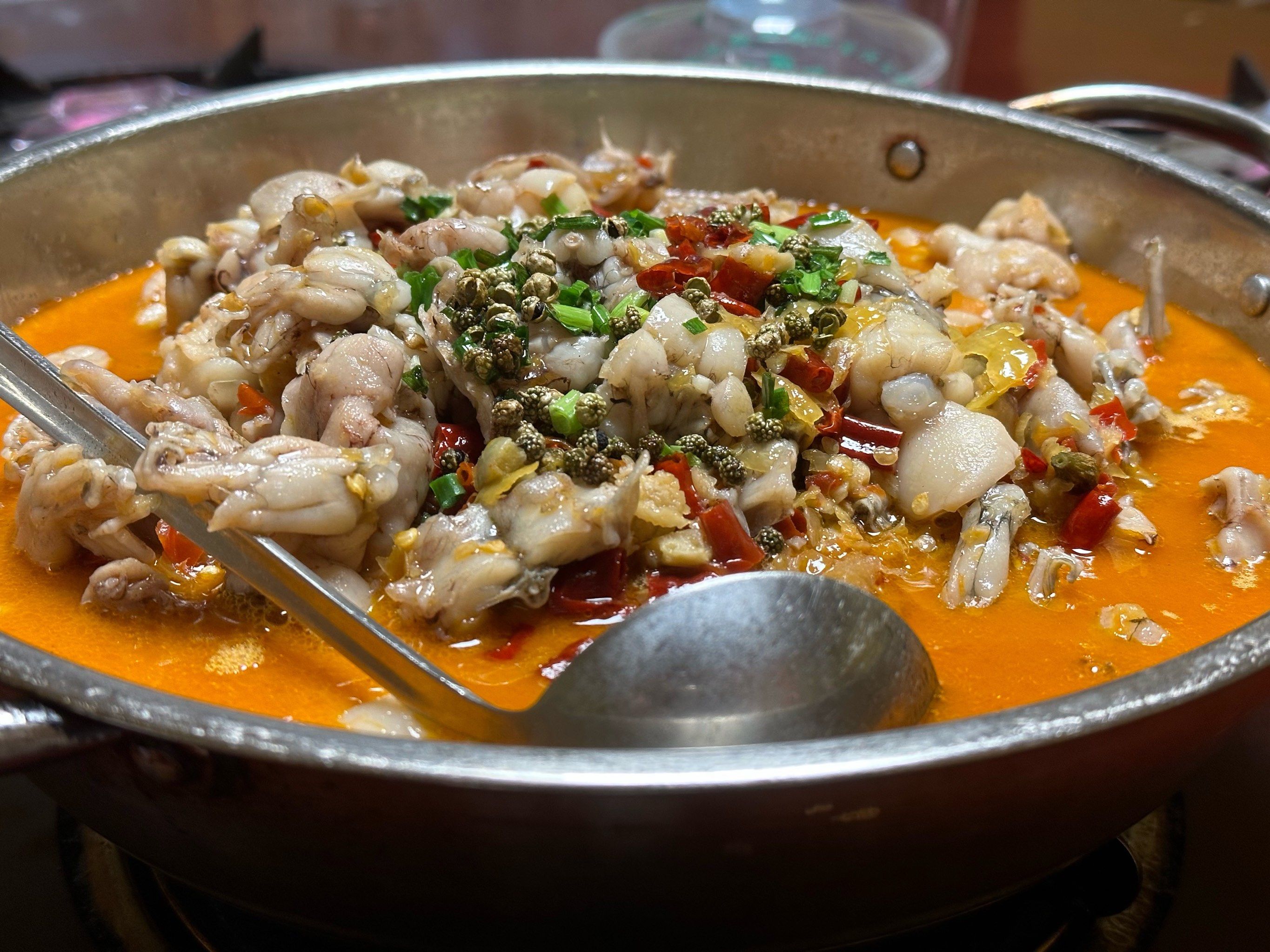 豆丁蛙