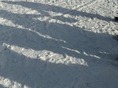 -绿野森林乐园冰雪季