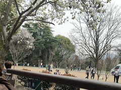 -鸡鸣汤包(红山动物园店)