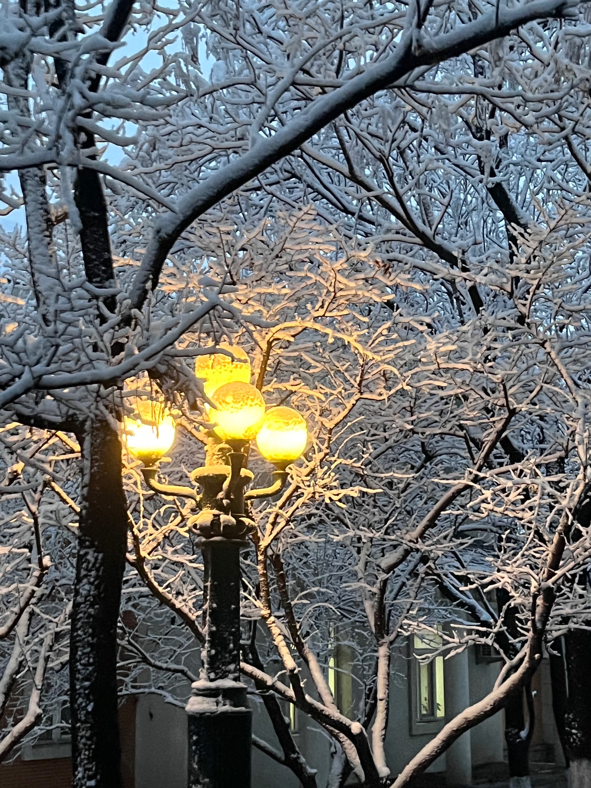 东北雪景图片竖屏壁纸图片