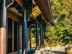 -虎跑公园