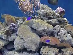 -临沂极地海洋王国